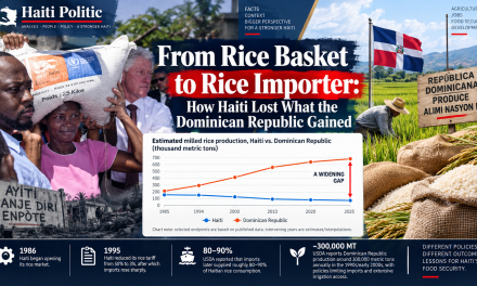 From Rice Basket to Rice Importer: How Haiti Lost What the Dominican Republic Gained